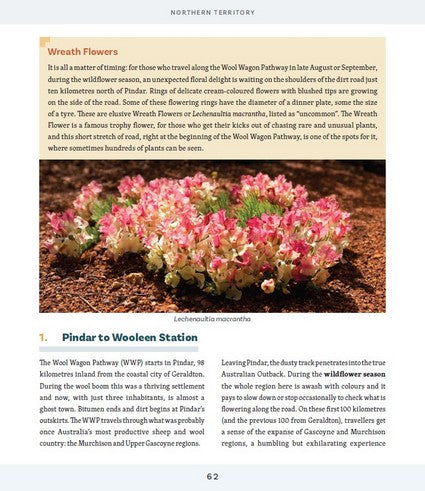 Road Trips Australia