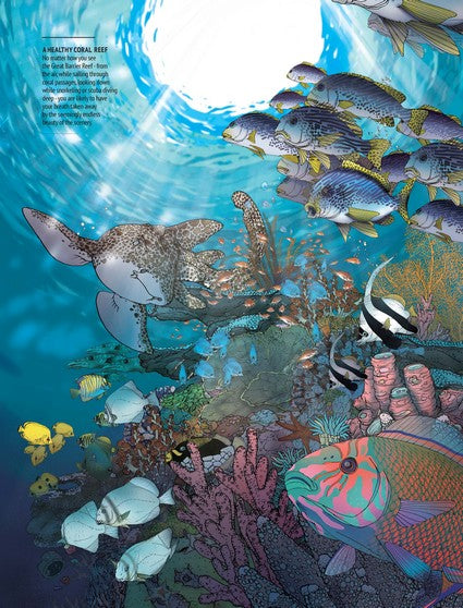 Wildlife of Australia's Great Barrier Reef