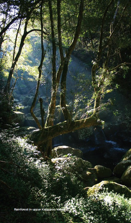 Best Walks of the Shoalhaven 3/e