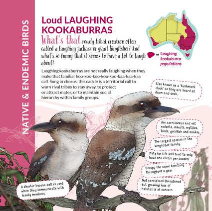 What's That? Australian Birds (HB)