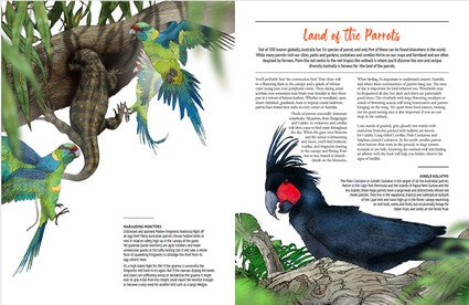 Australian Outback Birds