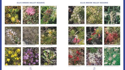 Wildflower Journeys through Southwest Australia