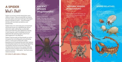 What's That? Australian Spiders