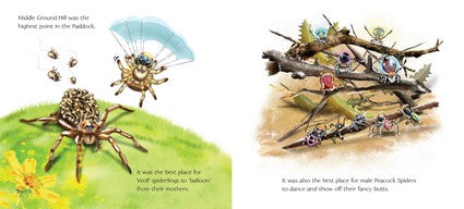 Spider Wars
