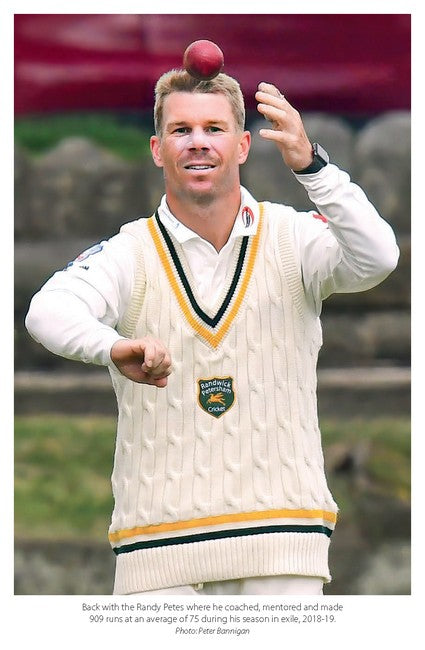 The Bull - David Warner
