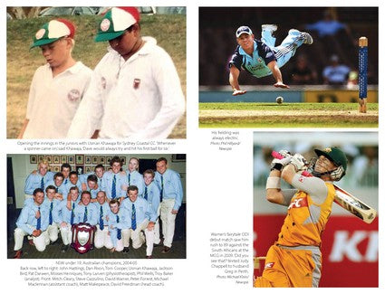 The Bull - David Warner