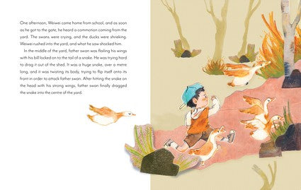 The Miracle of the Grey Swans