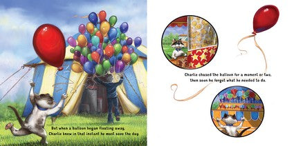 Charlie and the Hall of Mirrors (PB)