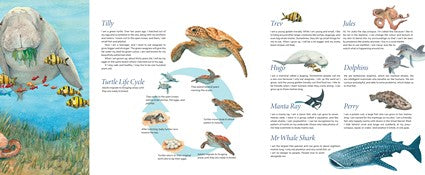 Tilly's New Adventure