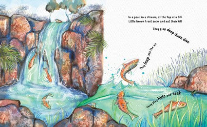 The Lonely Brown Trout