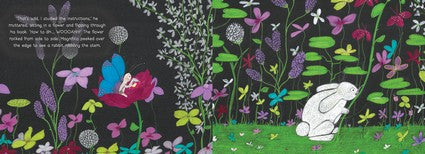 Magnifico the Butterfly