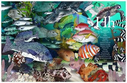 An A-Z of Ocean Creatures