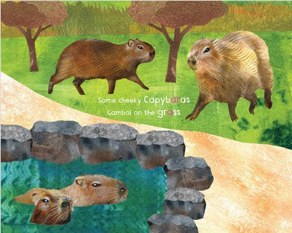 The AR in Sydney Harbour