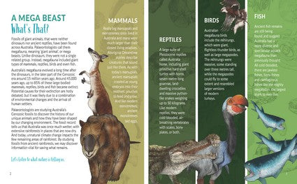 What's That? Australian Mega Beasts