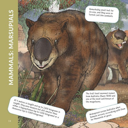 What's That? Australian Mega Beasts