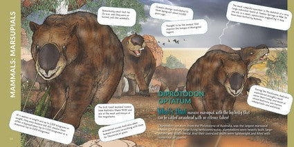 What's That? Australian Mega Beasts