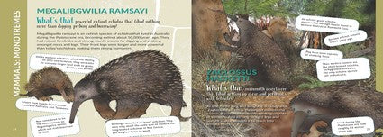 What's That? Australian Mega Beasts