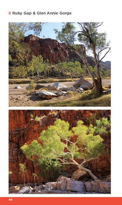 Best Walks of the Red Centre