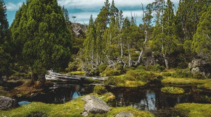 Australian Geographic Tasmania