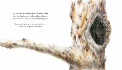 Carmichael's Journey