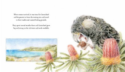 Carmichael's Journey