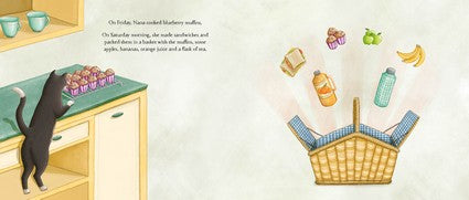 Grandad's Perfect Picnic