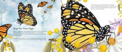 The Butterfly Within