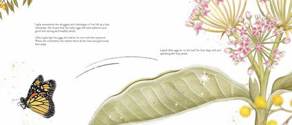 The Butterfly Within