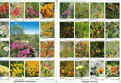 Guide to the Wildflowers of Western Australia 3/e