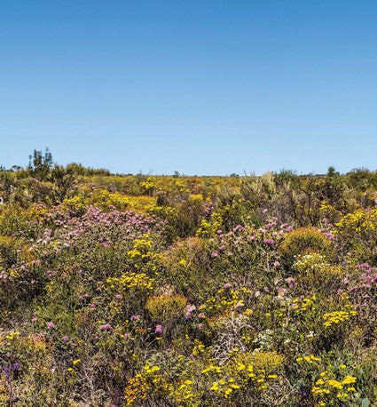 Australian Geographic Southwest Australia