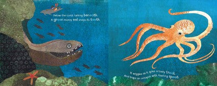 The EE in the Deep Blue Sea