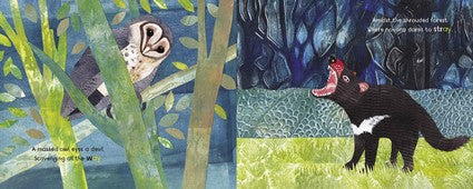 The A in the Rainforest