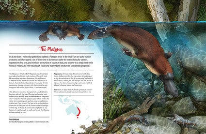 Australia's Dangerous Bush Creatures