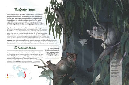 Australia's Endangered Bush Creatures