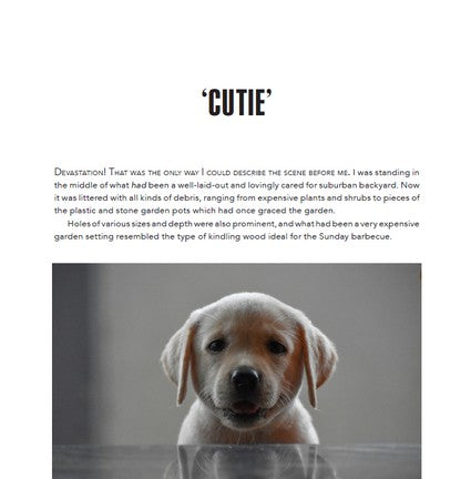 Tales of Wagging Tails