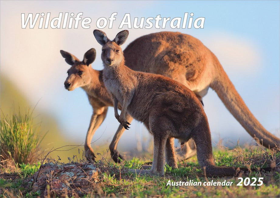 2025 Wildlife of Australia Wall Calendar