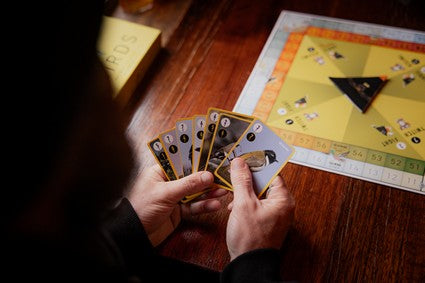 A Game Called Birds
