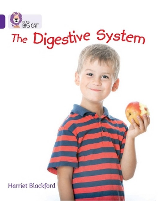 The Digestive System
