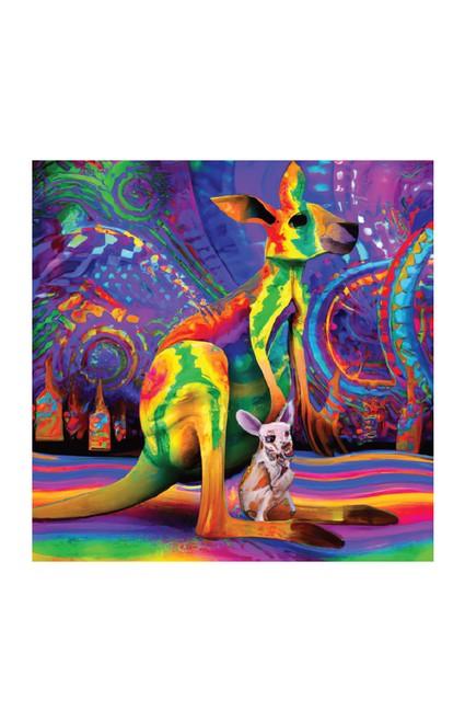 My First Picture Book - Australian Animals