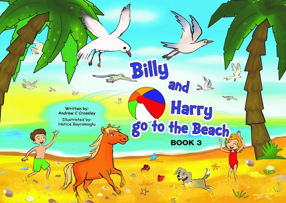 Billy and Harry go to the beach (Book 3)