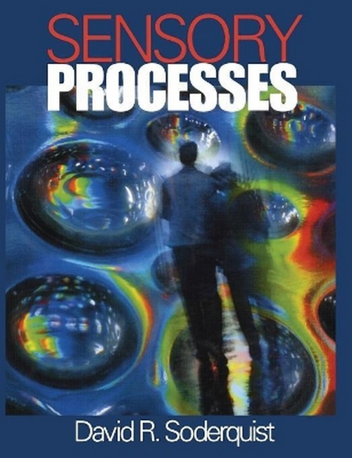 Sensory Processes