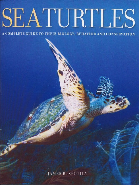 Sea Turtles