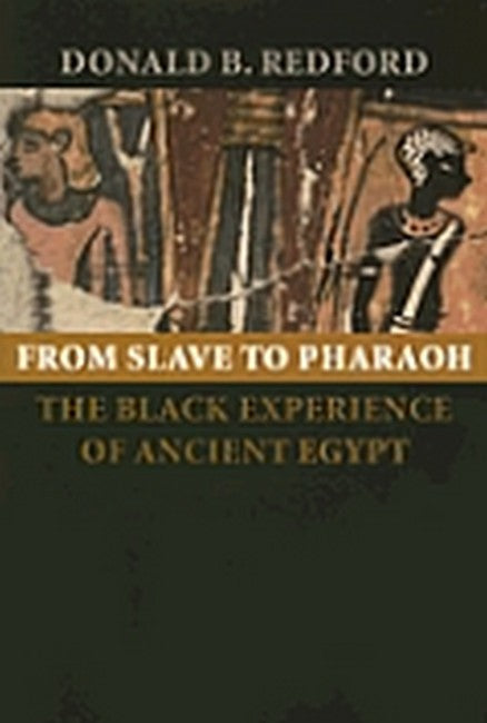 From Slave to Pharaoh