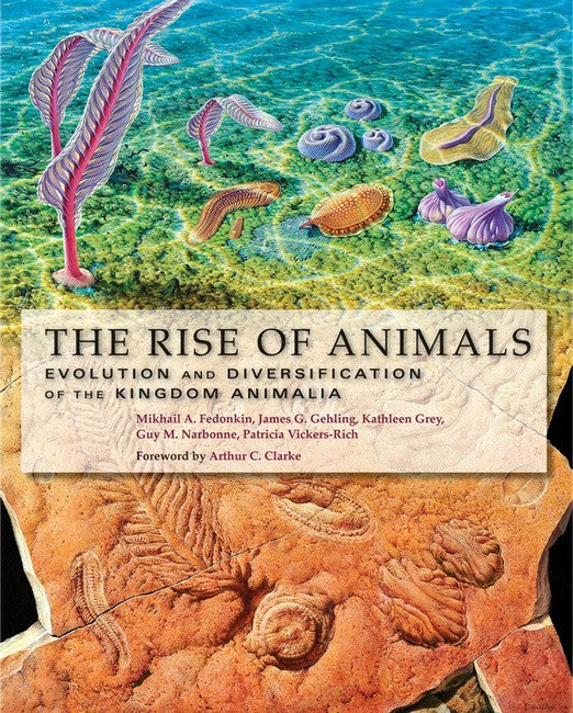 The Rise of Animals