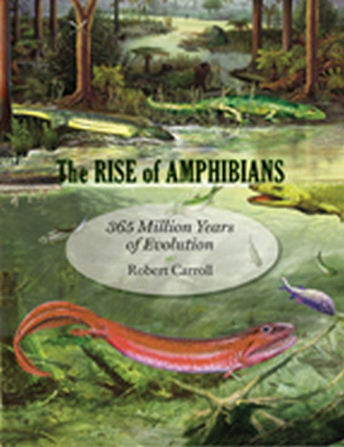 The Rise of Amphibians