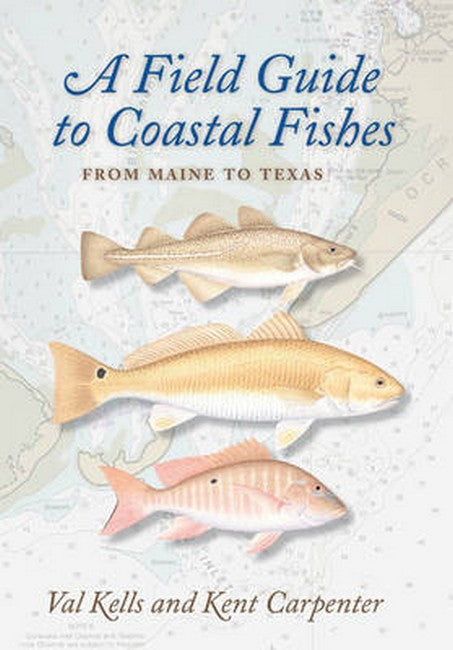 A Field Guide to Coastal Fishes