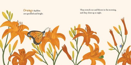 Consider the Lilies