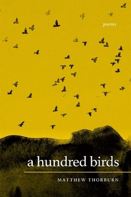 A Hundred Birds