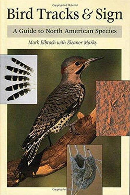 Bird Tracks and Sign