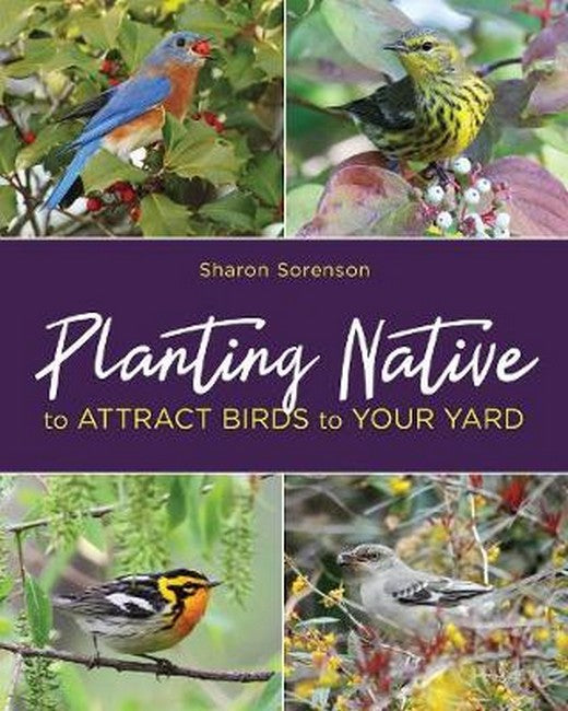 Planting Native to Attract Birds to Your Yard 2/e